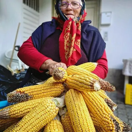Azienda Agricola Ausono *