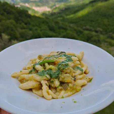 Farm stay Azienda Agricola Ausono Piaggine